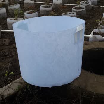 加厚无纺布植树袋美植袋 育苗营养袋厂家 苗圃花场控根种植袋 35*30有