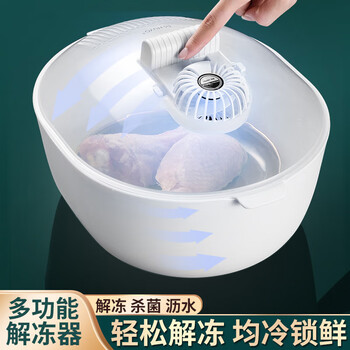 范贝希快速解冻器德国快速解冻肉牛排保鲜解冻器家用冷冻食物化冰机器