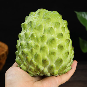 牛奶凤梨释迦果新鲜水果整箱佛头果摩尼果番1000g精选礼盒大果57个装