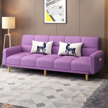 沙发小户型两用沙发床折叠客厅简易房经济型卧室单人双人布艺浅紫色总