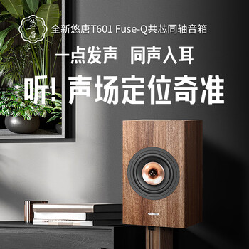 悠唐 t601同轴音箱hifi发烧级6.5英寸无源全频书架箱2.