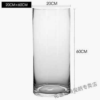 花瓶客厅花瓶大落地直筒花瓶大玻璃透明北欧网红ins风插花器马醉木水养水培器皿口径高60cm 透明 图片价格品牌报价 京东