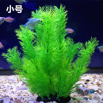 czhnhdjdkj 鱼缸里的仿真水草鱼缸海草活的鱼缸里放的鱼草鱼缸内水生