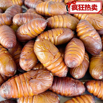 每口知足东北特产新鲜大黄蚕蛹500g柞蚕蛹黄茧蛹蚕小黑蛹每斤约60个1