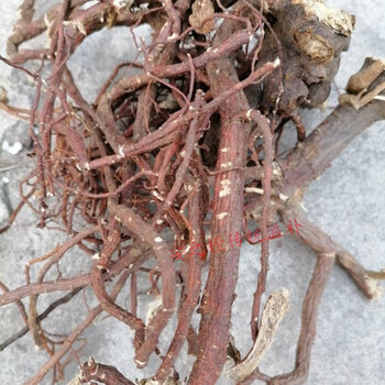 芫花根芫条根野生晒干中草药500克