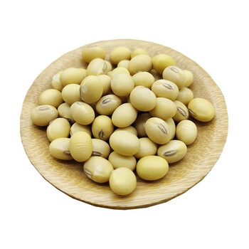 河南特产笨黄豆老品种非转基因土黄豆豆浆豆椭圆形做豆腐五谷杂粮5斤