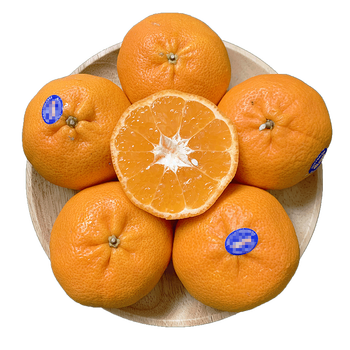 澳洲柑橘澳柑新鲜进口水果桔子稀有热带水果 【推荐】3斤装