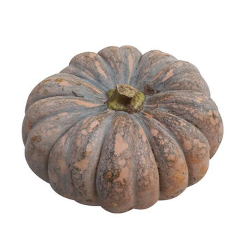 新鲜粉糯磨盘老南瓜孕妇宝宝辅食农家新鲜土南瓜小南瓜非贝贝南瓜 3-4