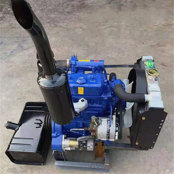 两缸玉柴21002115双缸力佳2110常柴柴2105江动柴油发动机总成黑色定金