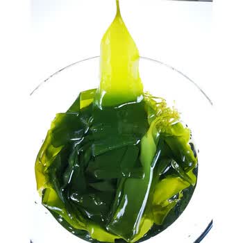 熊果汀霞浦海带苗嫩5斤小海带芽嫩苗新鲜盐渍非干货火锅食材麻辣烫5斤