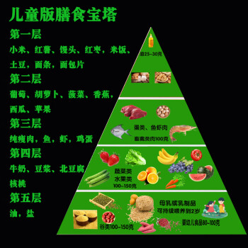 食物金字塔 2022新版膳食寶塔食物模型中國居民平衡營養金字塔交換份