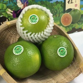 鲜山甜院绿橙一级果琼中绿橙礼盒装应季新鲜水果当