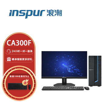 浪潮（INSPUR）英政CA300F 国产化 办公一体机台式机电脑丨23.8英寸丨定制丨飞腾-FT-2000丨8G丨256G丨1G独显