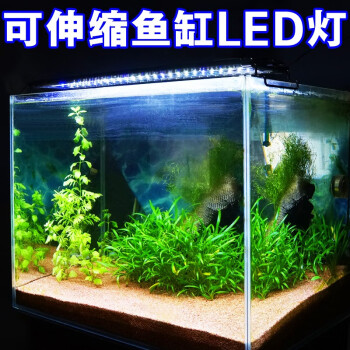 Odyssea奥德赛鱼缸水族箱照明灯架海水缸草缸淡水缸led灯蓝白光顶灯水草灯蓝白光led0 30 45cm缸用 图片价格品牌报价 京东