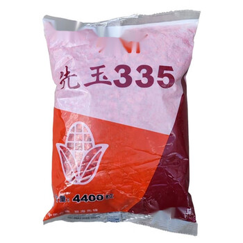 憶芗先锋先玉335大丰30大田杂交国审玉米种子东单1331玉米高 登海先锋