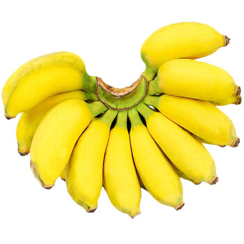 纯香果广西小米蕉新鲜香蕉水果整箱3斤装