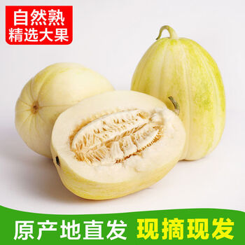 香瓜巴盟香瓜白莲脆内蒙古香瓜白兰脆甜瓜巴盟产地直发内蒙古甜瓜8斤