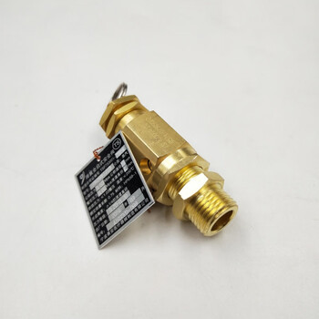 高压锅安全阀弹簧式全启式安全阀泄压阀蒸汽器放气阀定制 dn15