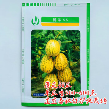 恋品惠花皮酥瓜种籽甜瓜种子天津德瑞特正宗博洋9号春秋季播礼品瓜种