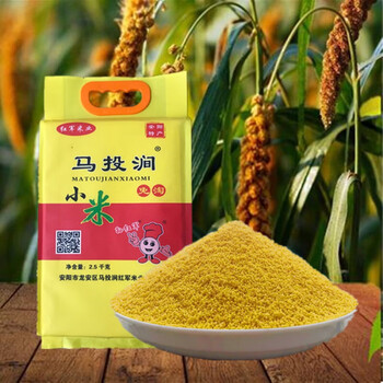 河南安阳马投涧特产红军小米22年新黄小米红谷小米月子宝宝米5斤