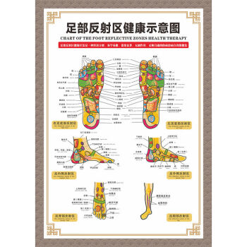 人體穴位圖全身圖中醫針灸艾灸拔罐養生十二經絡穴位海報大掛圖足部