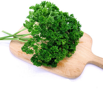荷兰芹250g3新鲜蔬菜香菜洋芫荽西餐摆盘装饰旱芹菜