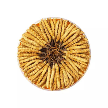 有仁堂正宗西宁发货冬虫夏草冻干虫草非玉树新干虫草整条虫草礼盒装