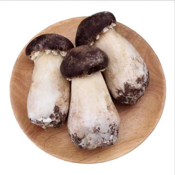 云南姬松茸新鲜菌蘑菇菇香格里拉特产新品500g新鲜中通