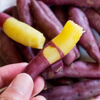 小香薯金手指红薯新鲜现挖黄心板栗番薯手指薯1斤装1015个左右