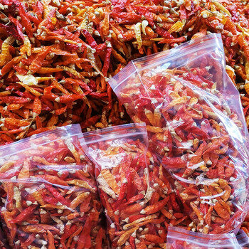 维霆湖南超香特辣小米辣椒王黄干辣椒魔鬼巨辣野山椒500g产地直销整个