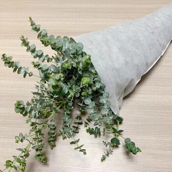 尤加利叶桉树科尤加利叶钱串小叶多枝鲜花批发云南昆明基地鲜花直销