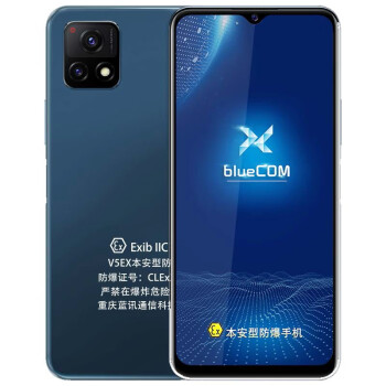 蓝讯防爆手机V5EX5G手机5000mAh大电池4800万影像系统灵动护眼屏双模vivo定制防爆轻薄 V5EX整机保修一年 防爆