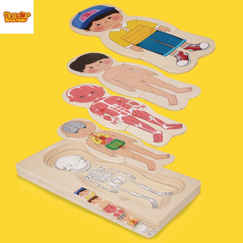 人体拼图玩具身体结构早教认知男女孩幼儿园儿童教育木制人体多层拼图