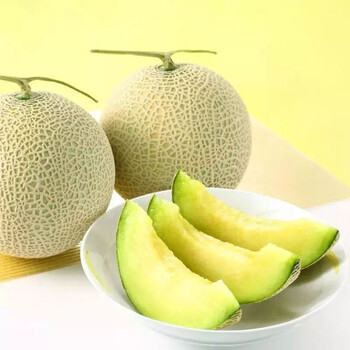 州珮生鲜  新鲜网纹蜜瓜  精品玫珑网纹蜜瓜 海南网纹瓜-带箱8-9斤(3