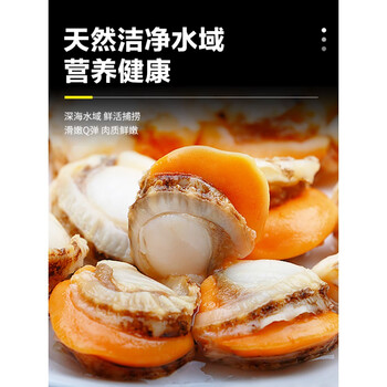 新鲜扇贝肉鲜活特大超大冷冻扇贝肉去内脏商用蒜蓉鲜贝肉烧烤3斤扇贝2