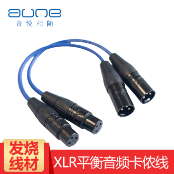 Aune 定制al3 高品质xlr平衡音频线卡侬头信号线aune S6 S7用25cm 长 图片价格品牌报价 京东