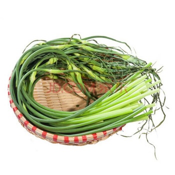 净樱山东新鲜蒜苔蒜薹白帽大蒜苗蒜毫新鲜蔬菜净菜产地 3斤