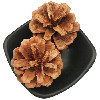 药声录 中药材松塔 松球 松果 干松塔 白松塔 松树果 50 克