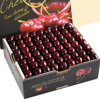 智利进口车厘子jjj黑珍珠大樱桃生鲜孕妇时令当季新鲜水果礼盒 5斤