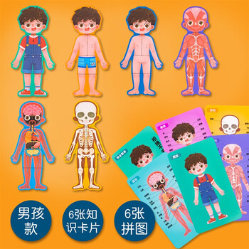 创京懿选身体结构拼图0.