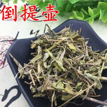 蓝布裙草药的功效图片