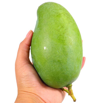 广西大青芒 新鲜水芒果 5斤装 大果150g-300g