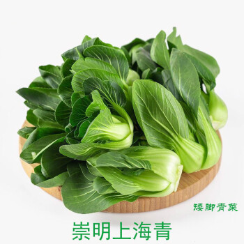 现摘上海青新鲜蔬菜上海崇明青菜无冻伤矮脚菜小青菜净重三斤装份量足