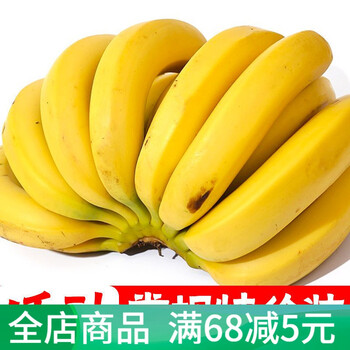 常规新树蕉装 限抢19份带箱10-11斤花皮装