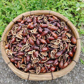 去籽金樱子干货野生新鲜金英子刺梨特级泡酒材料男性中药材500克切开