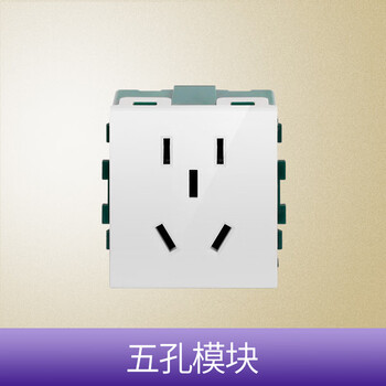 鸿雁120型开关模块自由组合家用FC120白模块 五孔模块（小）