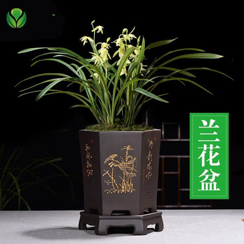 乐诗曼精品紫砂花盆中国风黑色六方兰花盆景盆室内桌面花卉盆栽盆陶瓷
