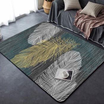 嘉瑞宝(JRB) 北欧式简约地毯客厅沙发茶几地毯卧室床边毯160*230cm 羽毛