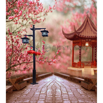 背景图古装背景墙直播背景布古装拍照背景布摄影背景布全家福古风背景