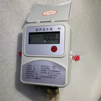 電子數顯雙聲道液晶ip68防水型流量計遠傳高精準表超聲波絲口水錶dn15